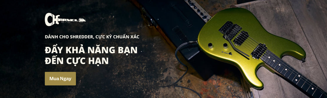 Charvel | Swee Lee Vietnam