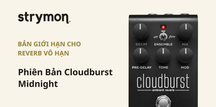 Strymon (ft. Cloudburst Midnight Edition) | Swee Lee Vietnam