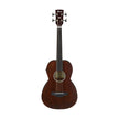 Ibanez Artwood AVNB1FE-BV Fretless Acoustic Bass Guitar, Brown Violin Semi-Gloss