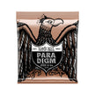 Ernie Ball Paradigm Medium Light Phosphor Bronze Acoustic Guitar Strings, 12-54