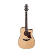 Ibanez AAD170CE-LGS Acoustic Guitar, Natural Low Gloss