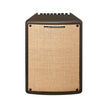 Ibanez T80IISM-E Troubadour II 80W Acoustic Guitar Combo Amplifier (B-Stock)
