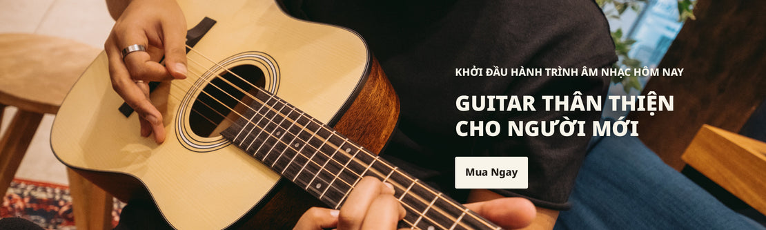 Beginner Acoustic Guitars | Swee Lee Vietnam