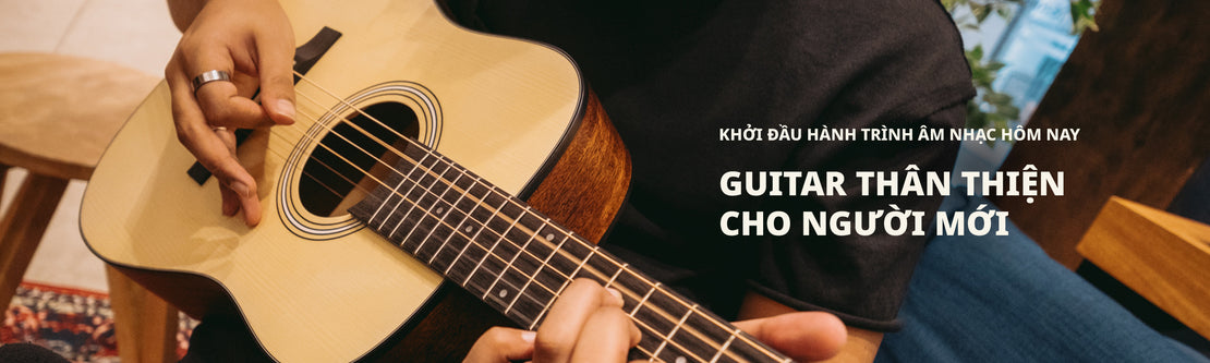 Beginner Acoustic Guitars | Swee Lee Vietnam