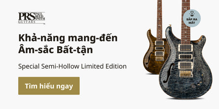 PRS 40th Anniversary Special Semi-Hollow Limited Edition | Swee Lee Vietnam