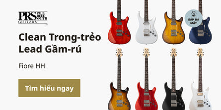 PRS Fiore HH | Swee Lee Vietnam