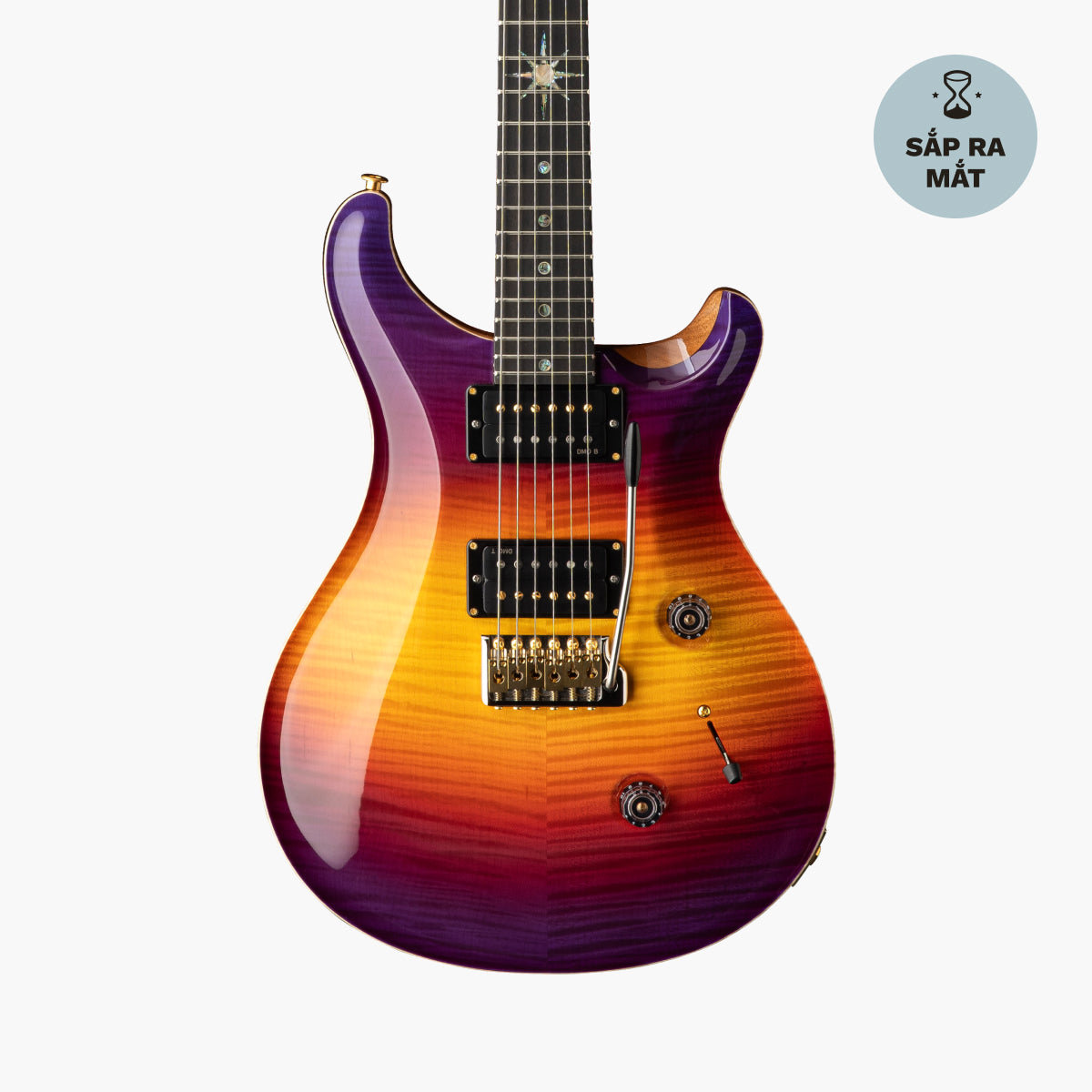 PRS Astryx Limited Edition by Dany Villarreal | Swee Lee Vietnam