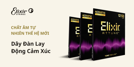 Elixir (ft. Attune Series) | Swee Lee Vietnam