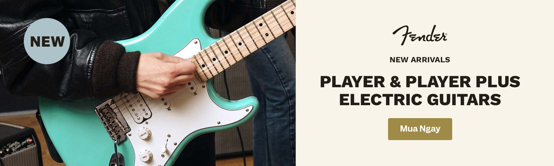 Fender Player & Player Plus New Arrivals | Swee Lee Việt Nam