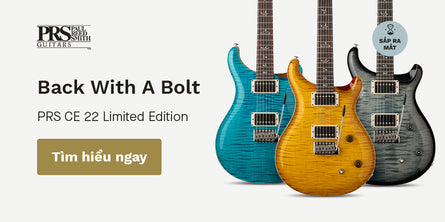 PRS CE 22 Limited Edition | Swee Lee Vietnam