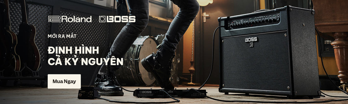 Roland & BOSS | Swee Lee Vietnam