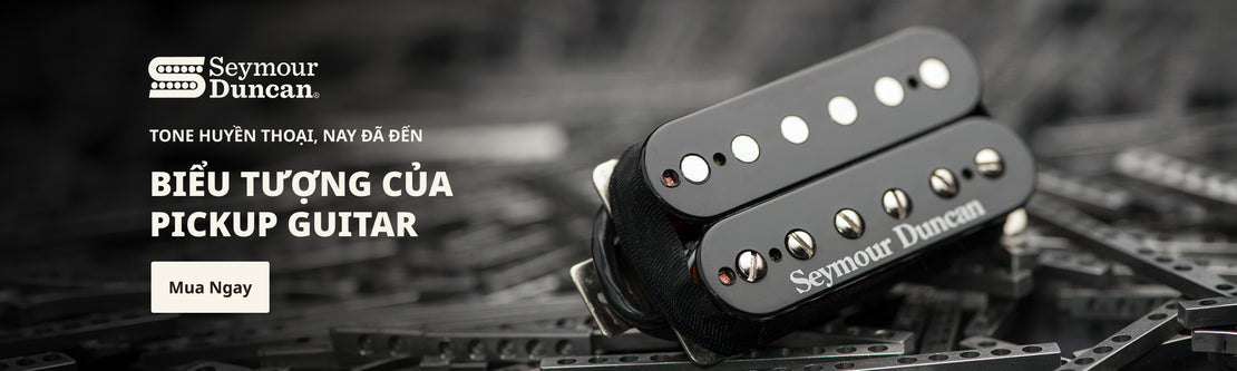 Seymour Duncan | Swee Lee Vietnam