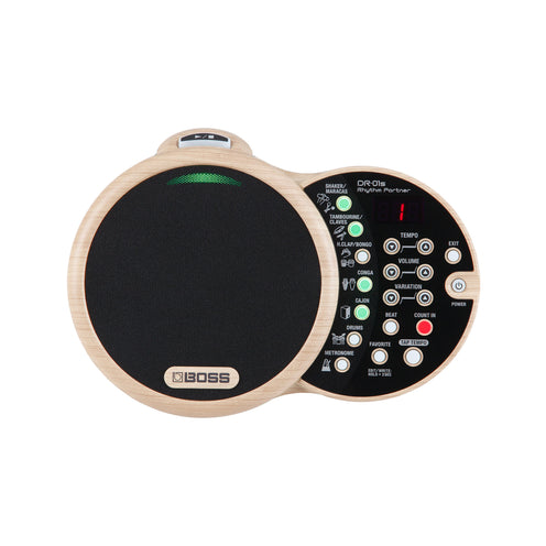 BOSS DR-01S Rhythm Partner
