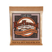 Ernie Ball Earthwood 12-String Custom Light Phosphor Bronze Acoustic Guitar Strings, 10-48