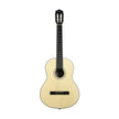Harmony Foundation Series Terra Classical Guitar, Natural Satin