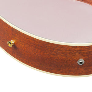 Ibanez AEWC12-RGF Acoustic-Electric Guitar, Rose Gold Metallic Flat