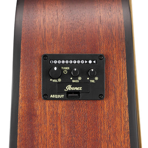 Ibanez Altstar ALT20-OPN Acoustic-Electric Guitar, Open Pore Natural