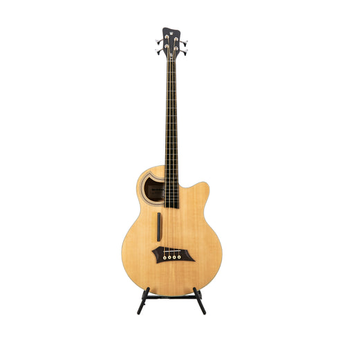Warwick RockBass Alien Standard Fretless w/Lines 4-String Bass Guitar, Natural Transparent Satin