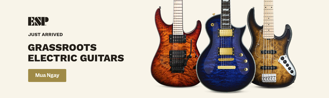GrassRoots Electric Guitars | Swee Lee Việt Nam