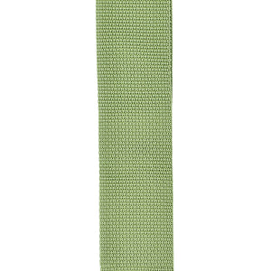 D'Addario PWS107 50mm Polypropylene Guitar Strap, Green