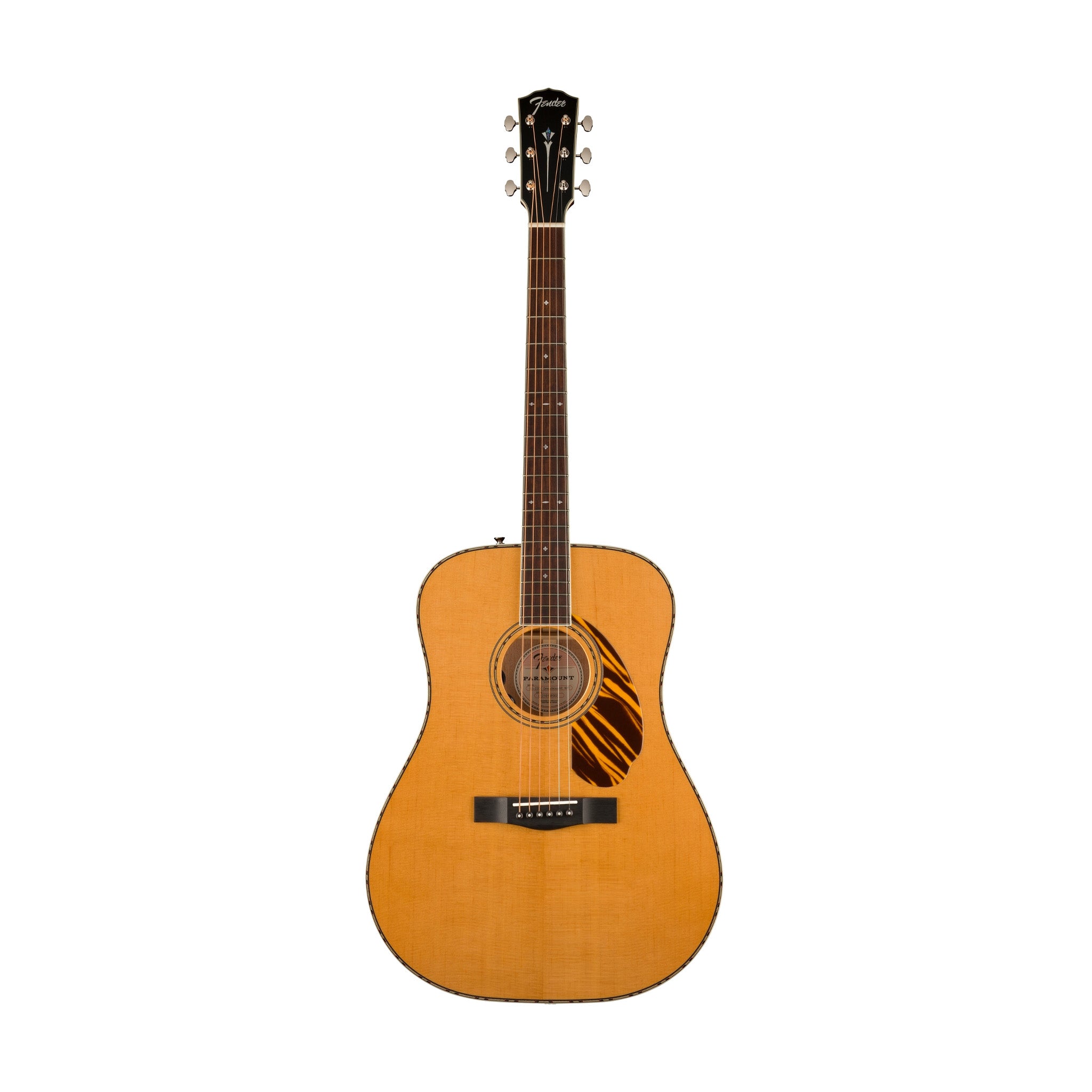 Fender PD-220E Dreadnought Electro Acoustic Guitar, Natural