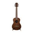 Harmony Foundation Series Sierra Classic Tenor Ukulele, Natural Satin