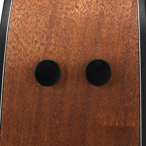 Ibanez AW1040CE-OPN Acoustic/Electric Guitar, Open Pore Natural