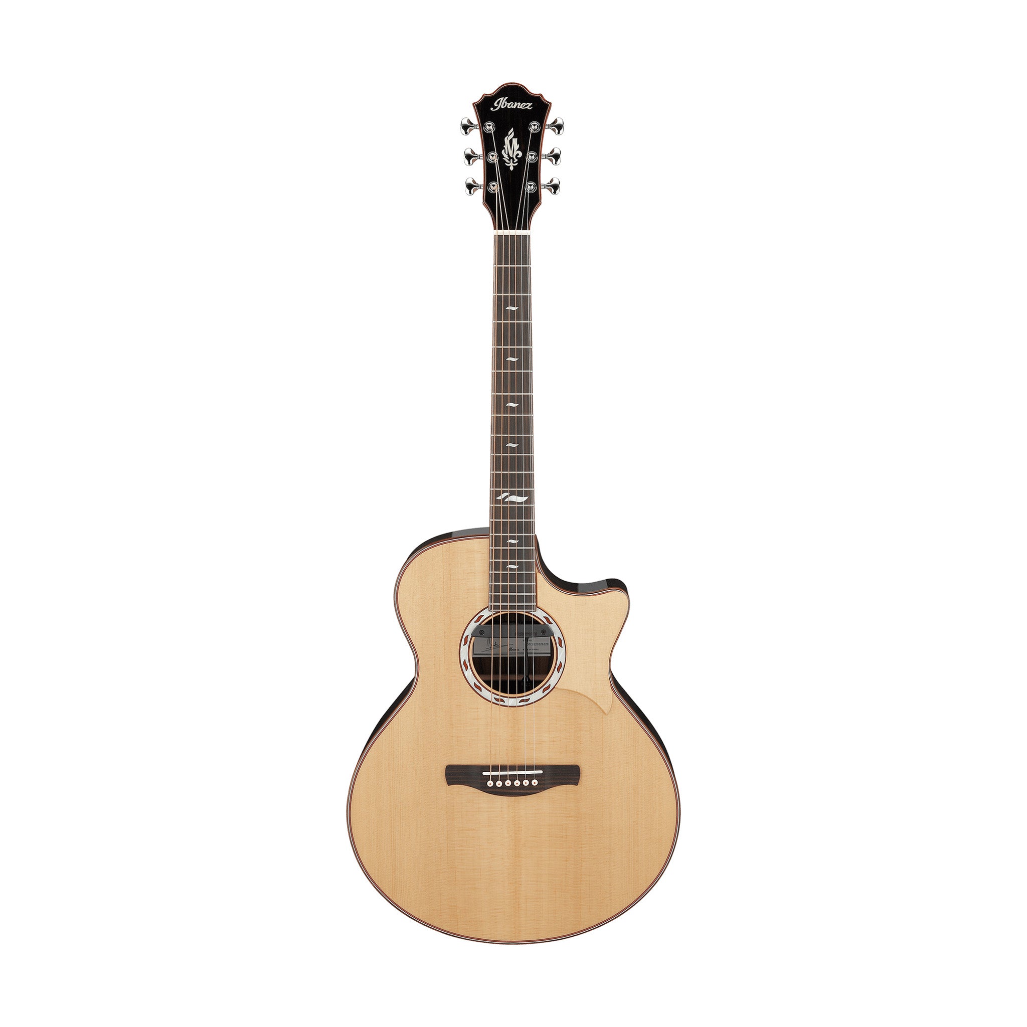 Ibanez MRC10-NT Electric Guitar w/Bag, Natural