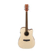 Ibanez PF10CE-OPN Acoustic Guitar, Open Pore Natural