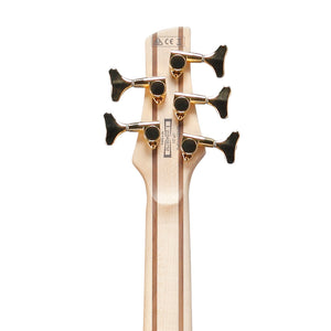 Ibanez SR405EPBDX Standard 5-String Bass Guitar, Tropical Seafloor Burst
