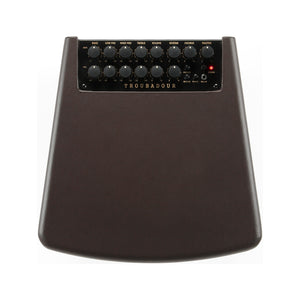 Ibanez T80II-E Troubadour II 80W Acoustic Guitar Combo Amplifier, Brown