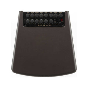 Ibanez T80IISM-E Troubadour II 80W Acoustic Guitar Combo Amplifier (B-Stock)