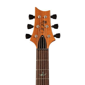 PRS SE Paul's Guitar Electric Guitar w/Bag, Faded Blue