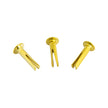MEINL Cymbals CY-RIVET-BR Sizzle Rivets, Brass Plated