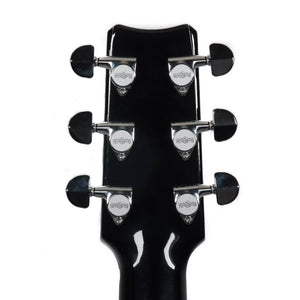 Rainsong BI-WS1000N2 Black Ice Series Acoustic Guitar w/Case
