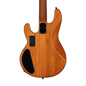 Sterling by Music Man Ray34 HH Poplar Burl Top Bass Guitar, Amber